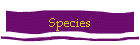 Species